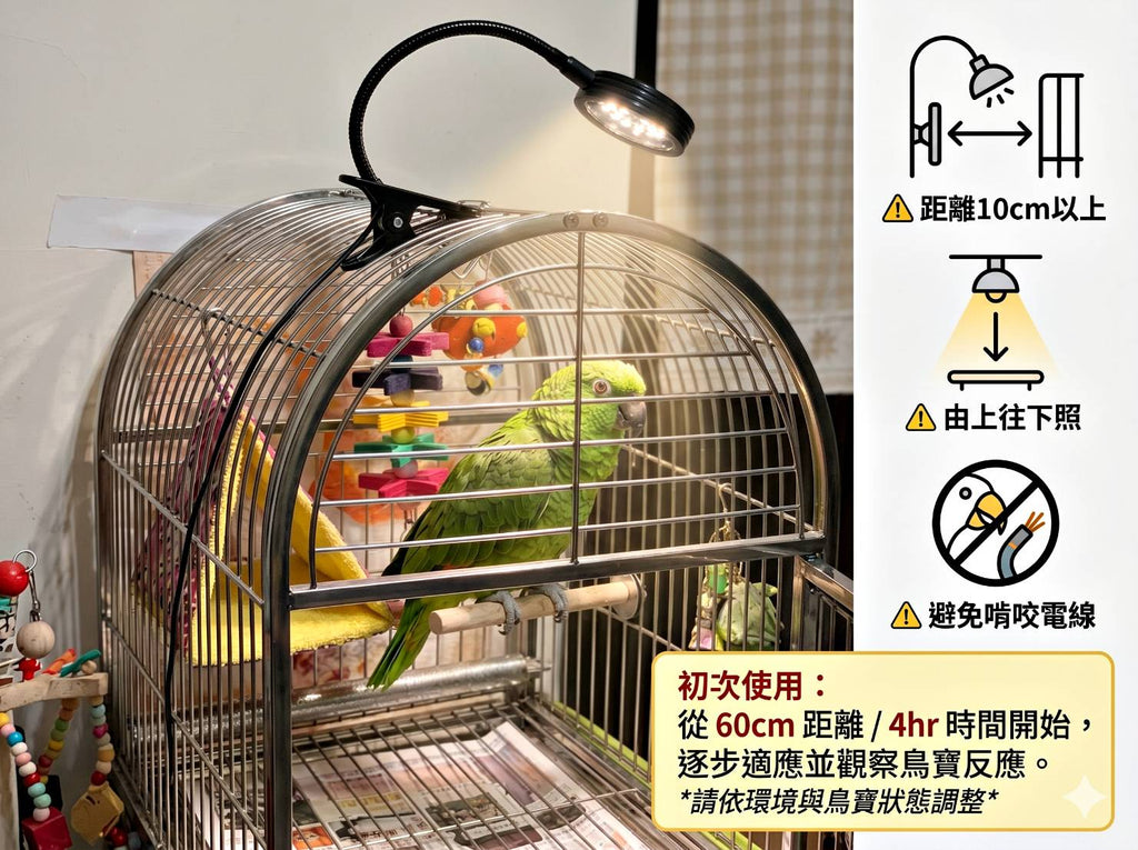 第三代智能式鸚鵡補光燈