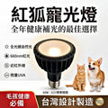 貓狗中小型哺乳動物-30瓦寵光燈