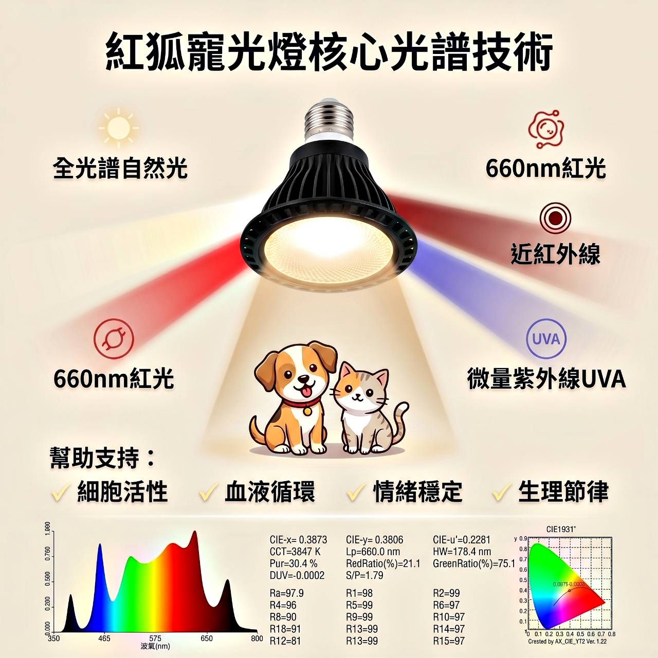 貓狗中小型哺乳動物-30瓦寵光燈