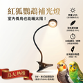 鸚鵡專用-任意夾5瓦led補光燈
