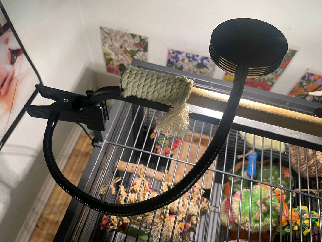 Parrot-specific 5W LED fill light with any clip