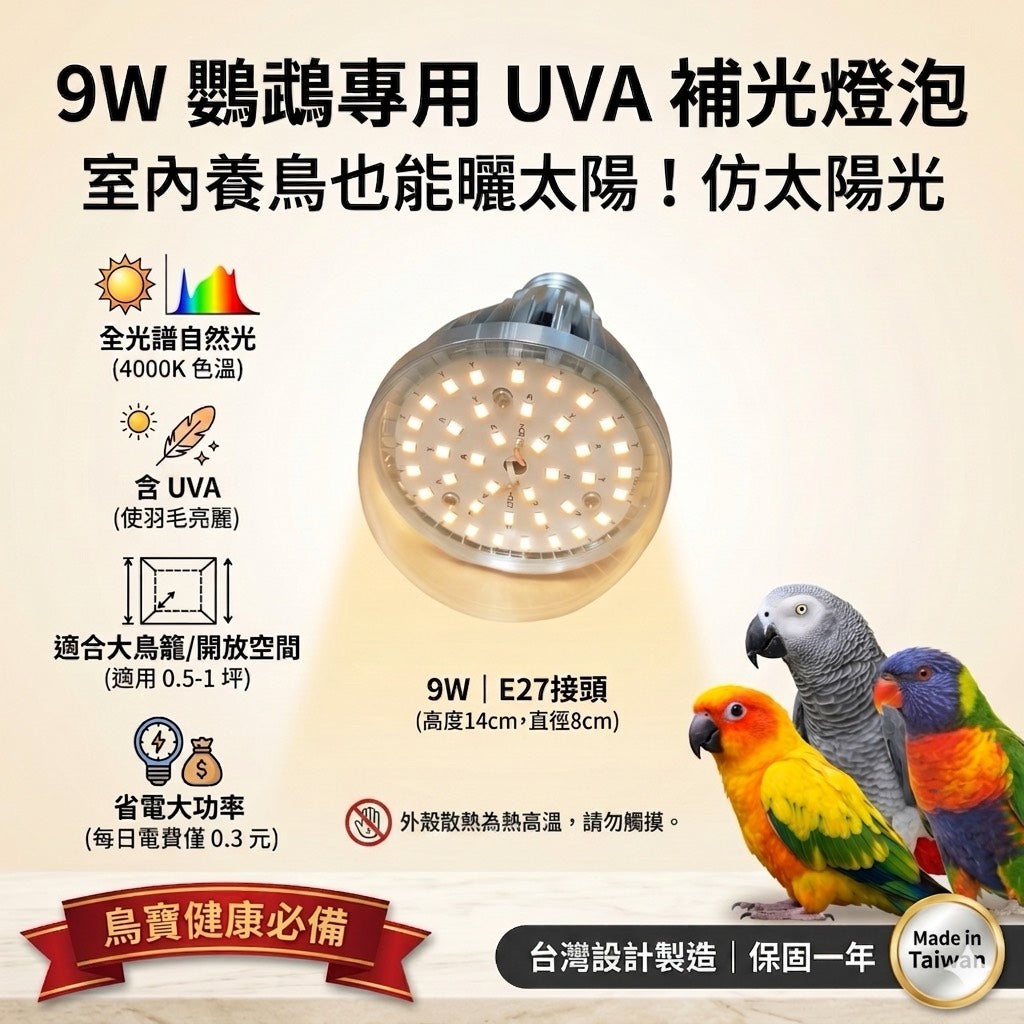 鸚鵡專用-led9瓦補光燈泡