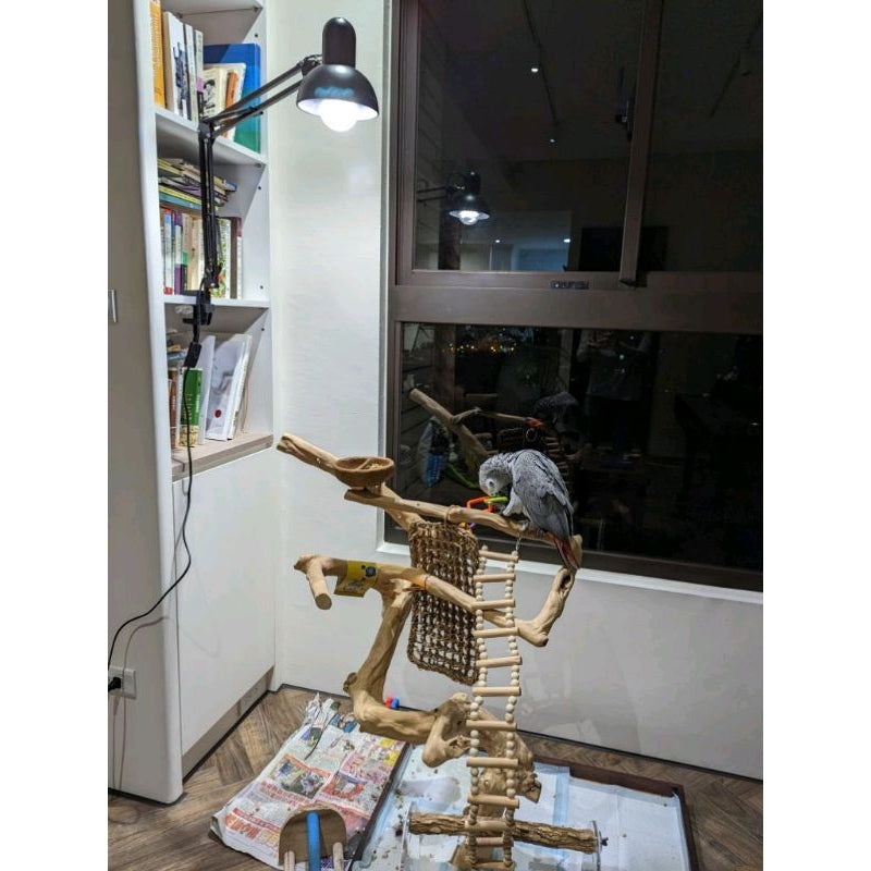 鳥寶專用 不防水 仿太陽光 鸚鵡 太陽 金剛 吸蜜 凱克 led 補光燈泡 全光譜 紫外線 UVA 鋁殼散熱 台灣製造