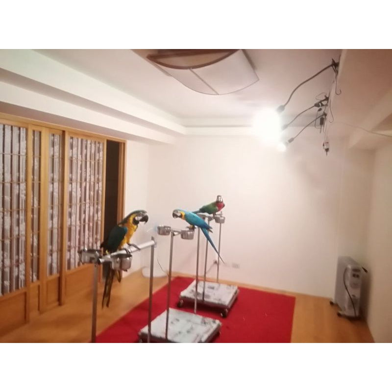 鳥寶專用 不防水 仿太陽光 鸚鵡 太陽 金剛 吸蜜 凱克 led 補光燈泡 全光譜 紫外線 UVA 鋁殼散熱 台灣製造